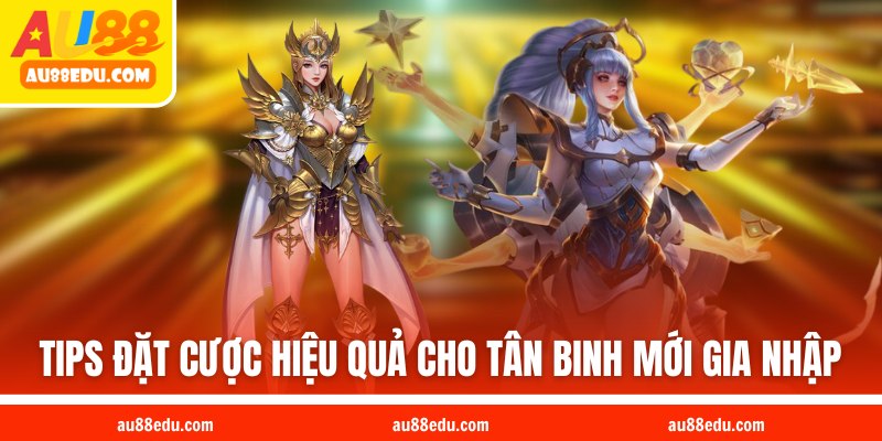 Tips đặt cược hiệu quả cho tân binh mới gia nhập